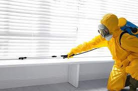 Best Pest Prevention Services  in Desnso, CA